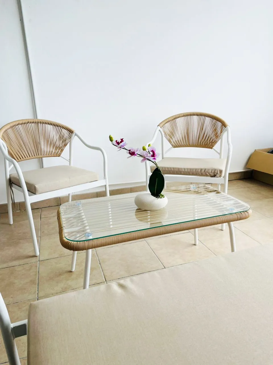 T4 Papyrus - Proche université Moufia