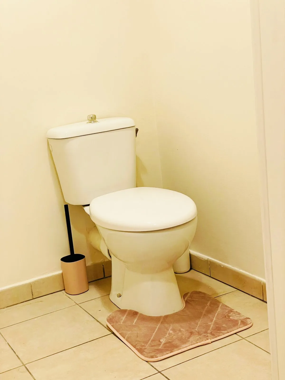 T4 Papyrus - Proche université Moufia